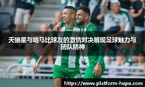 天狼星与哈马比球友的激情对决展现足球魅力与团队精神