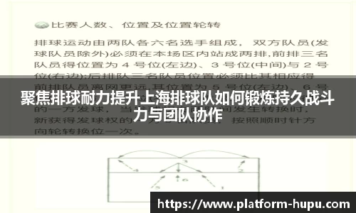 聚焦排球耐力提升上海排球队如何锻炼持久战斗力与团队协作