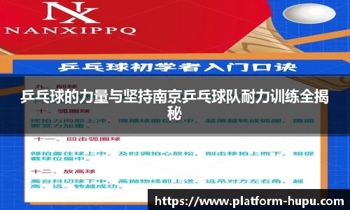 乒乓球的力量与坚持南京乒乓球队耐力训练全揭秘